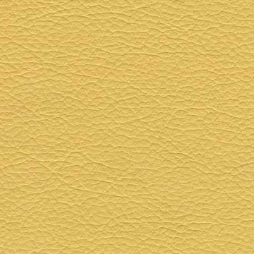 Sierra-1004 yellow